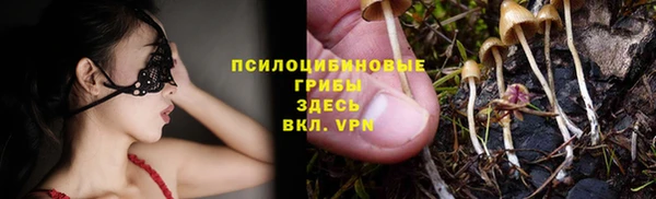 первитин Снежинск