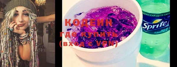 молекула духа Арсеньев