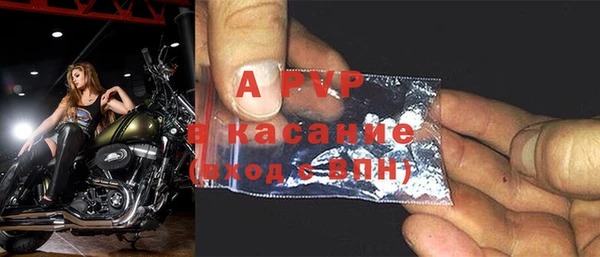 молекула духа Арсеньев