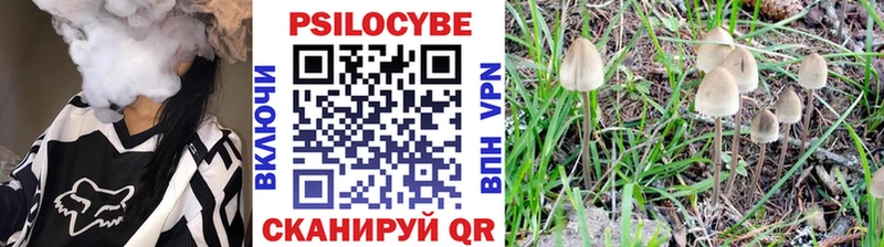 продажа наркотиков  Малоархангельск  Галлюциногенные грибы мухоморы 